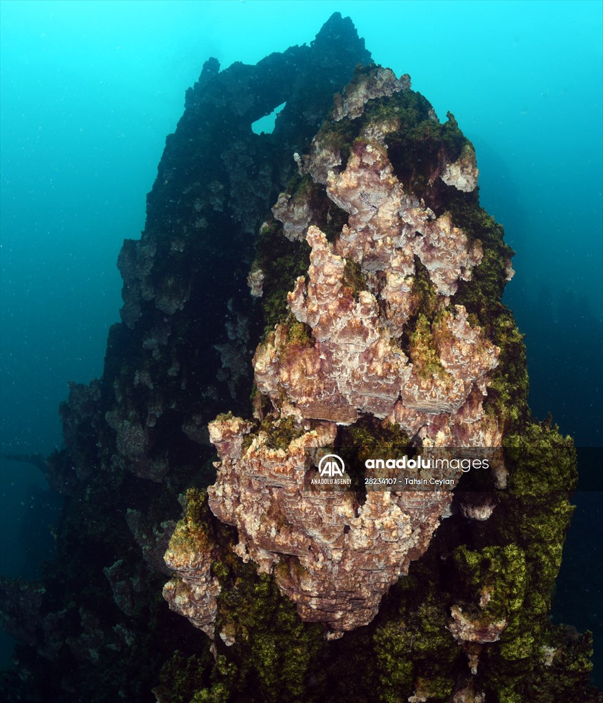 Underwater fairy chimneys of Turkiye's Lake Van