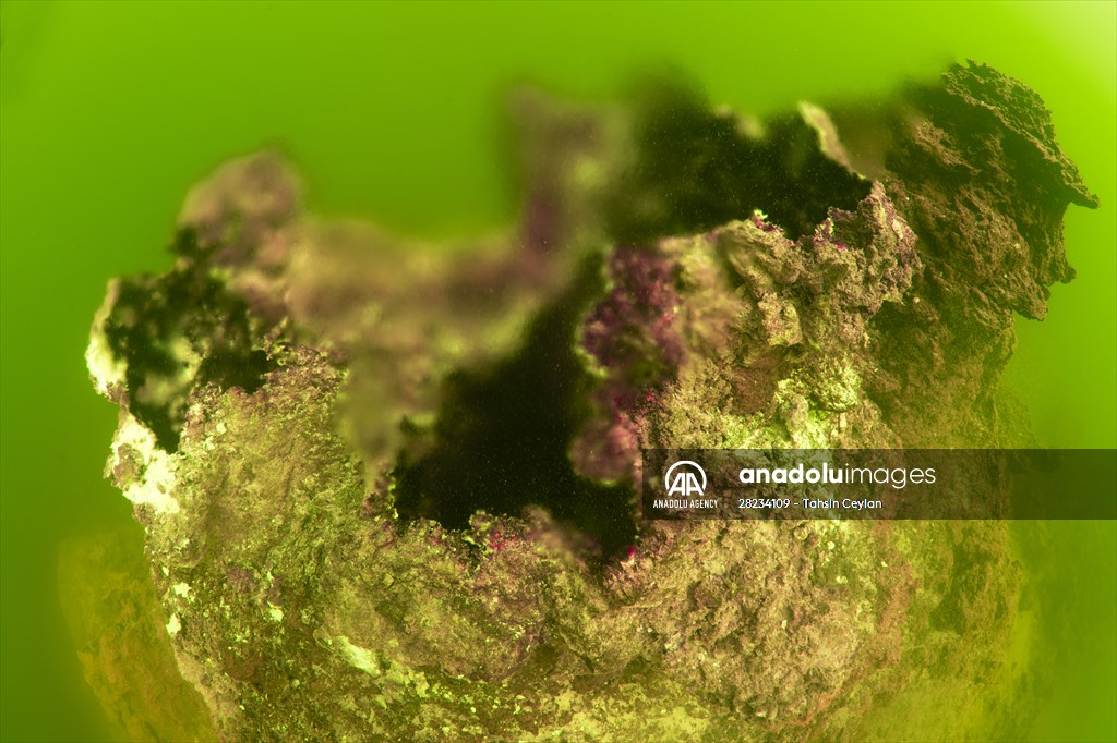 Underwater fairy chimneys of Turkiye's Lake Van