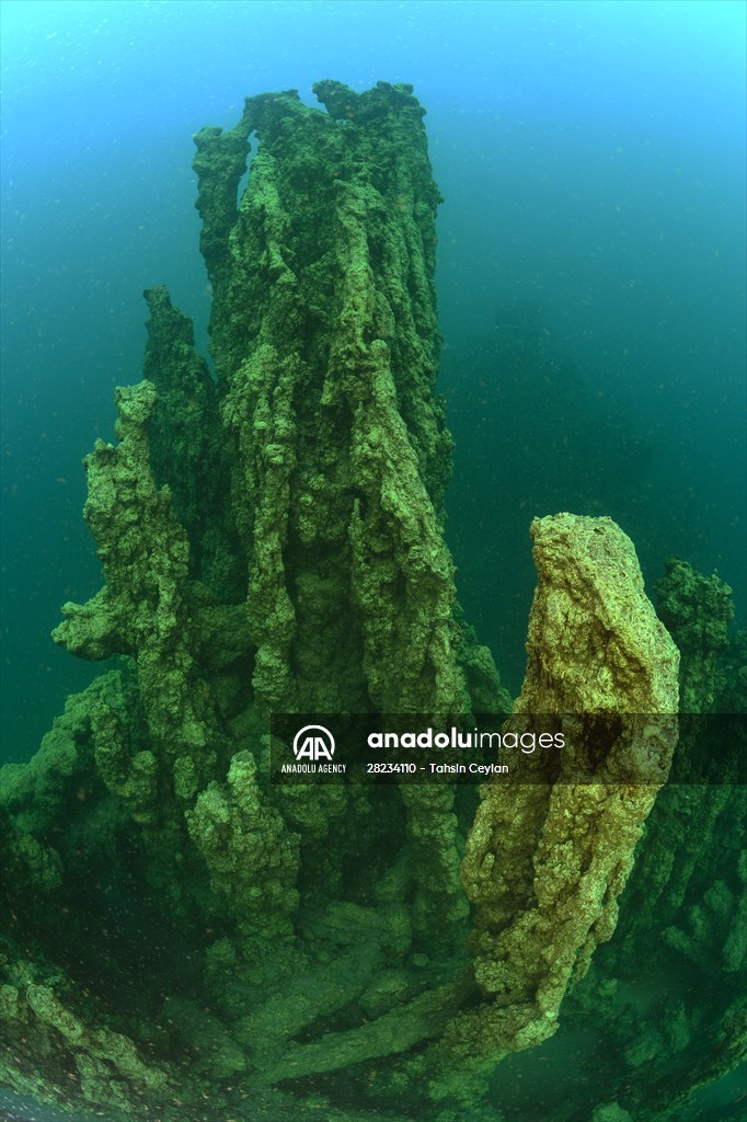 Underwater fairy chimneys of Turkiye's Lake Van