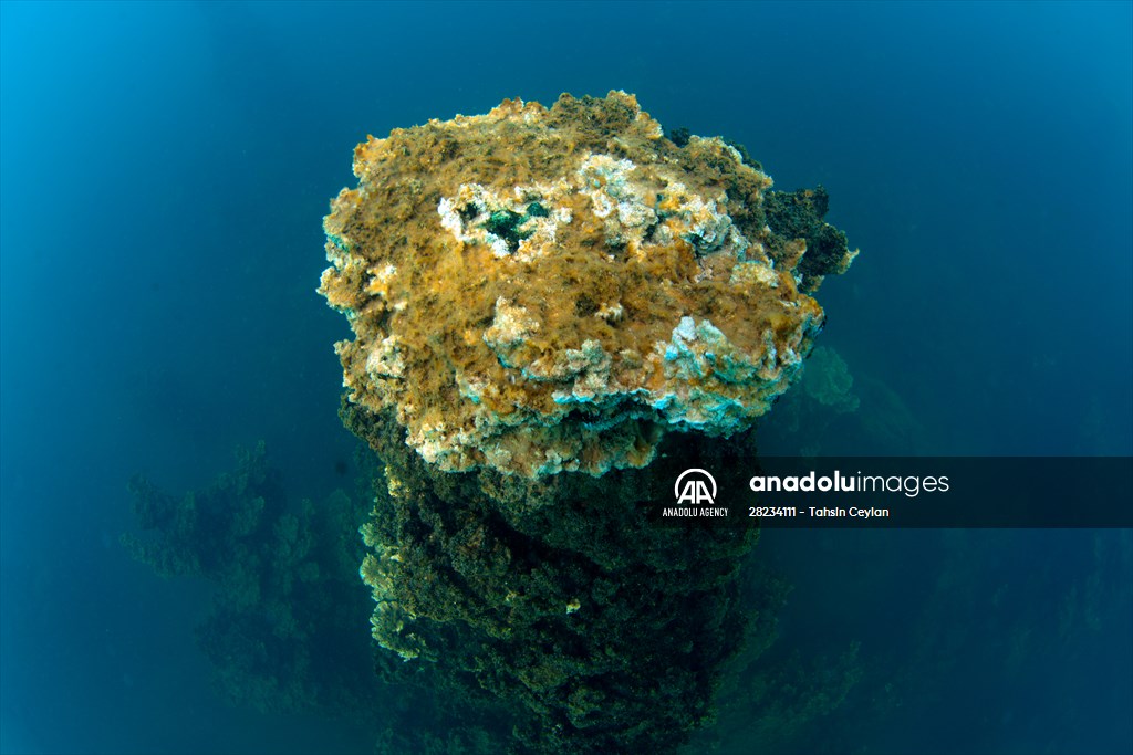 Underwater fairy chimneys of Turkiye's Lake Van