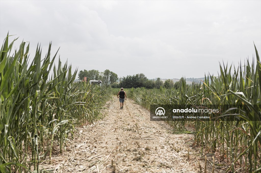 Drought emergency in Piedmont, Italy