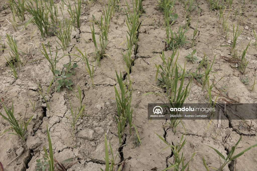 Drought emergency in Piedmont, Italy