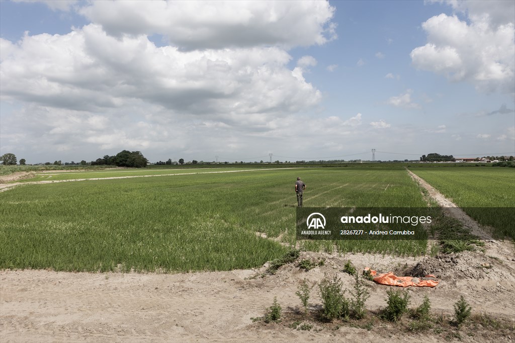 Drought emergency in Piedmont, Italy