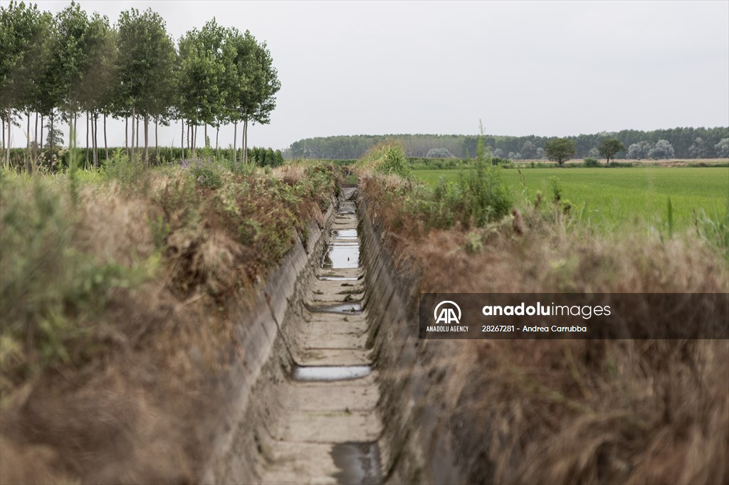 Drought emergency in Piedmont, Italy