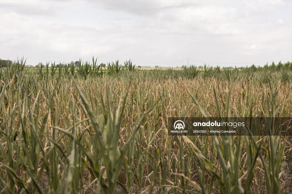 Drought emergency in Piedmont, Italy