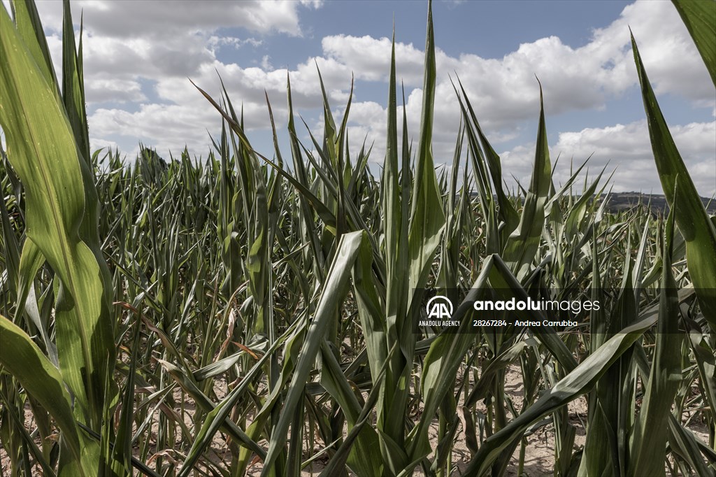 Drought emergency in Piedmont, Italy