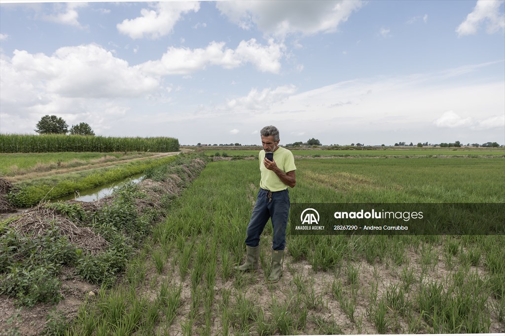 Drought emergency in Piedmont, Italy