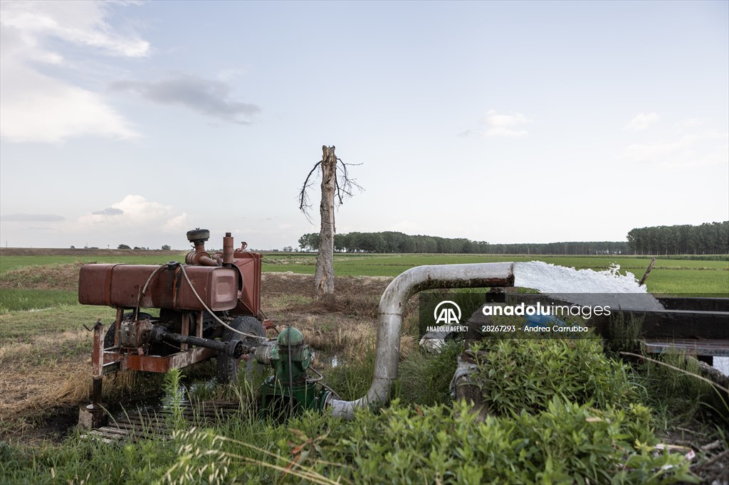 Drought emergency in Piedmont, Italy