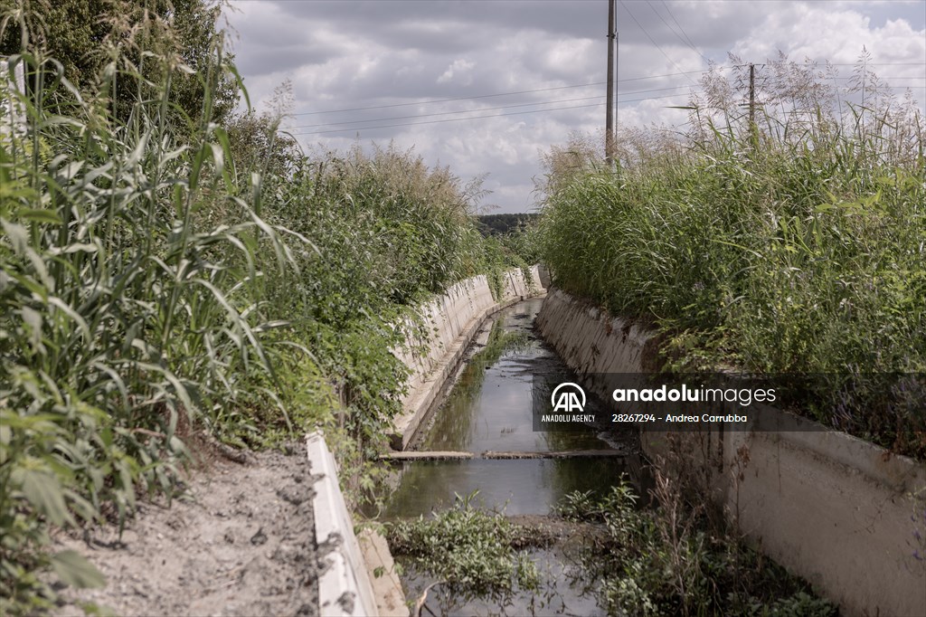 Drought emergency in Piedmont, Italy