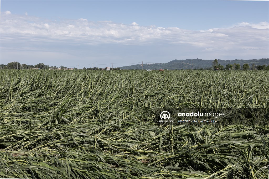 Drought emergency in Piedmont, Italy