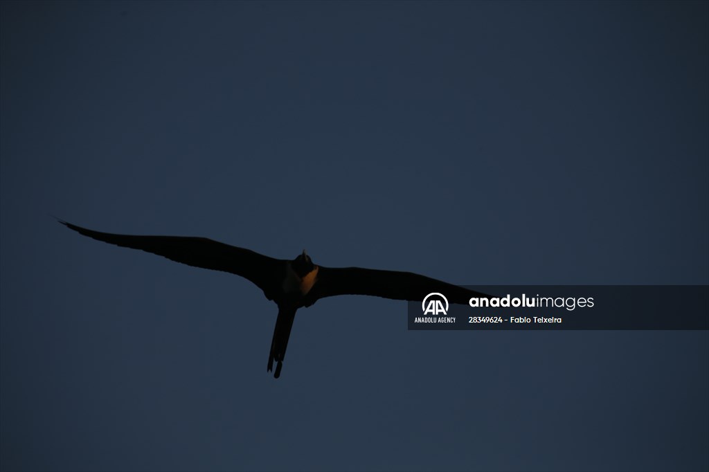 Pollution in the waters of Guanabara Bay in Rio de Janeiro