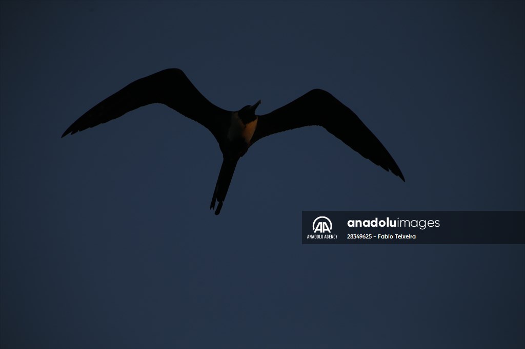 Pollution in the waters of Guanabara Bay in Rio de Janeiro