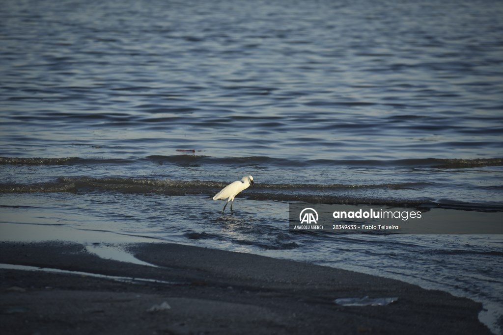 Pollution in the waters of Guanabara Bay in Rio de Janeiro