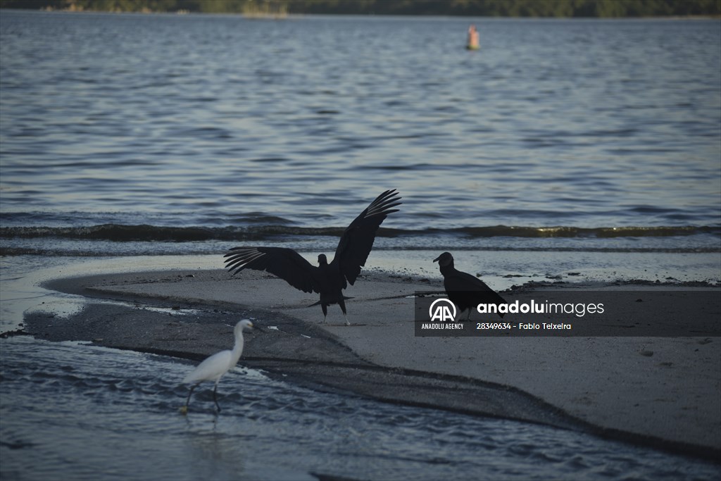 Pollution in the waters of Guanabara Bay in Rio de Janeiro