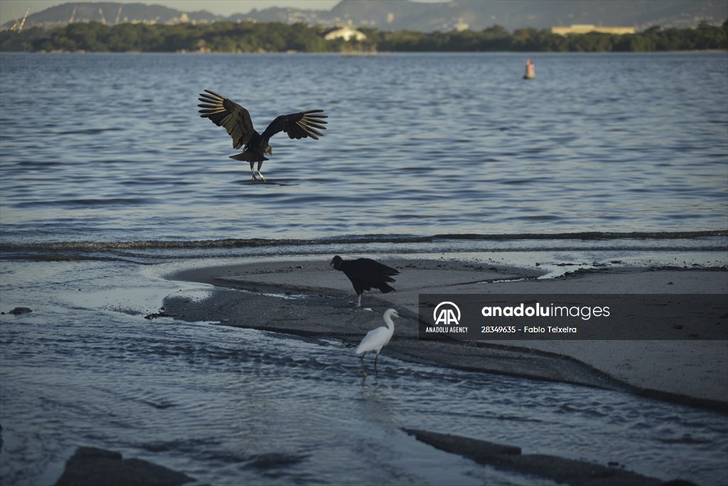 Pollution in the waters of Guanabara Bay in Rio de Janeiro