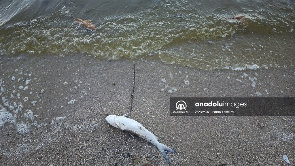 Pollution in the waters of Guanabara Bay in Rio de Janeiro