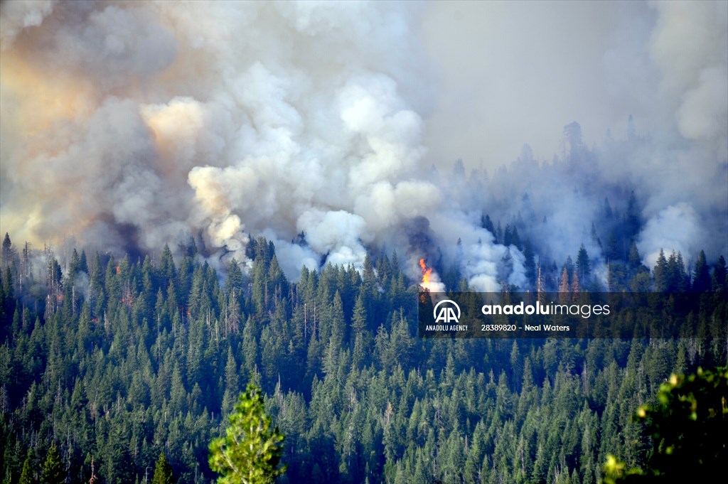 Wildfire in Yosemite National Park