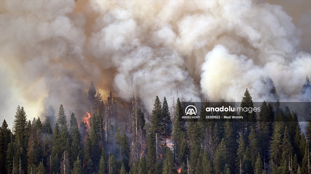 Wildfire in Yosemite National Park