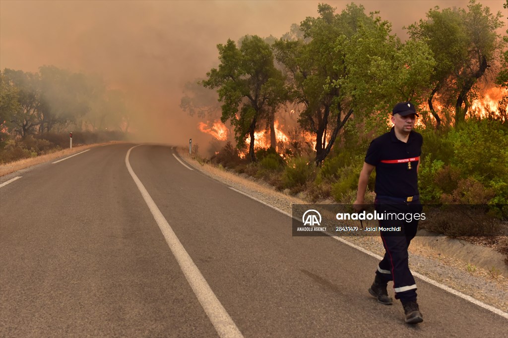 Forest fire in northern Morocco not yet under control