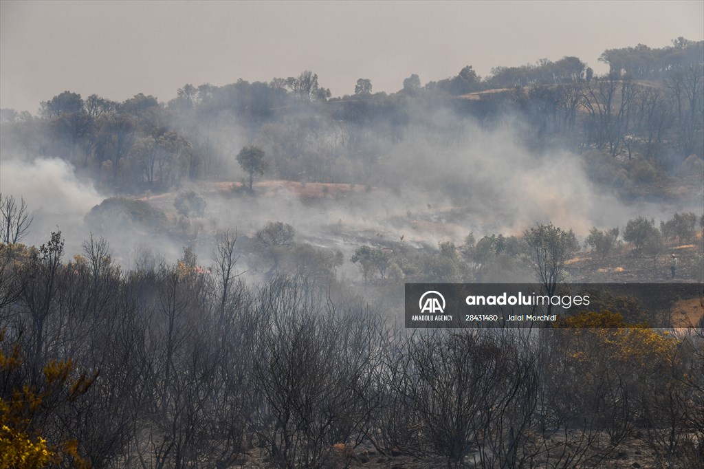 Forest fire in northern Morocco not yet under control