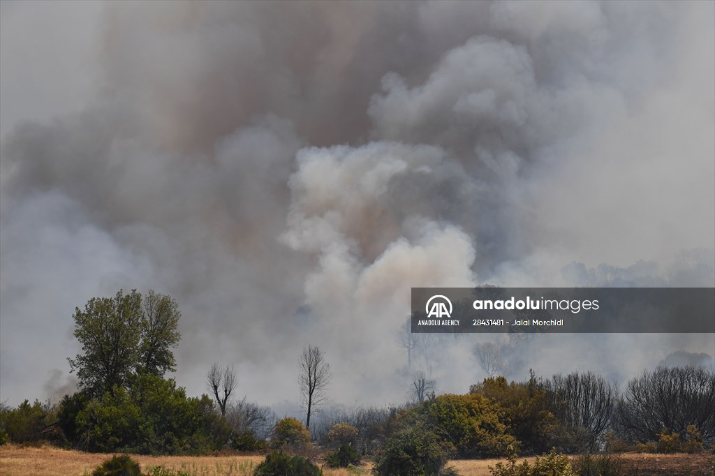 Forest fire in northern Morocco not yet under control