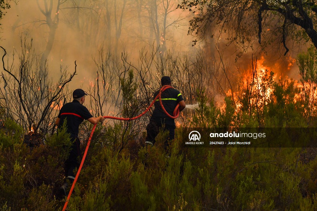 Forest fire in northern Morocco not yet under control