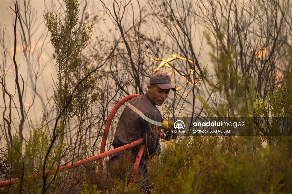 Forest fire in northern Morocco not yet under control