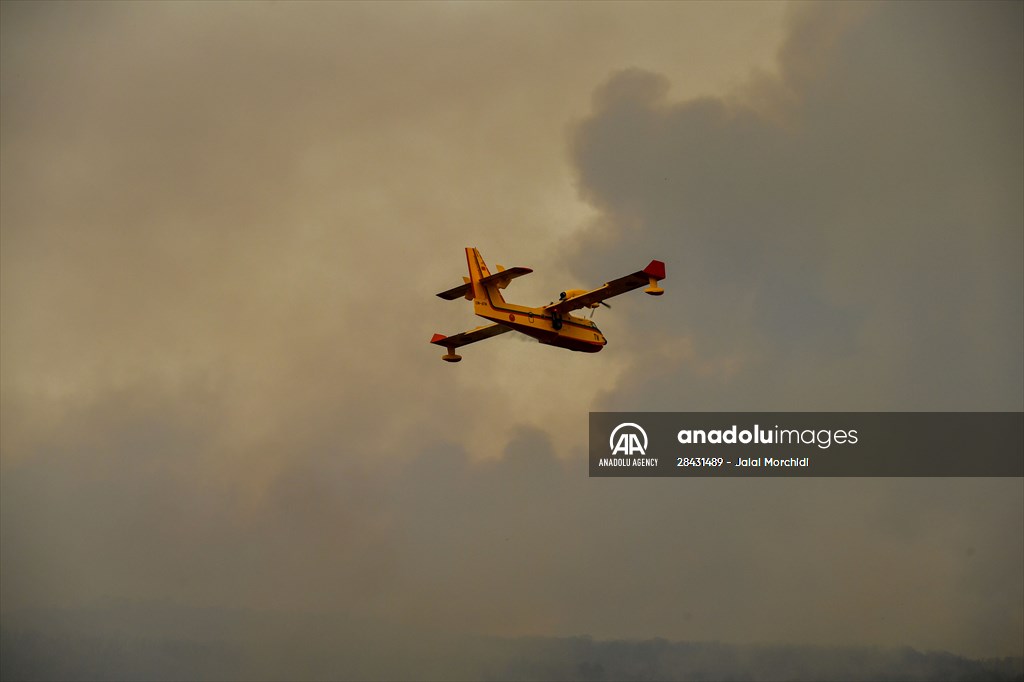 Forest fire in northern Morocco not yet under control