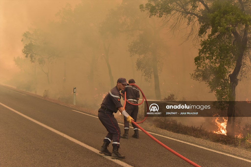 Forest fire in northern Morocco not yet under control