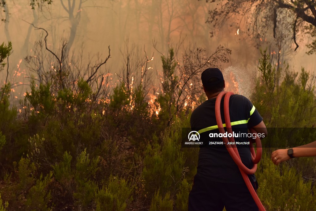 Forest fire in northern Morocco not yet under control