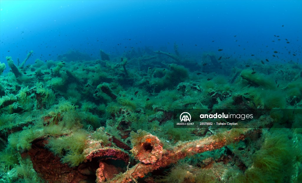 Shipwreck of Royal Navy's HMS Majestic in Gallipoli
