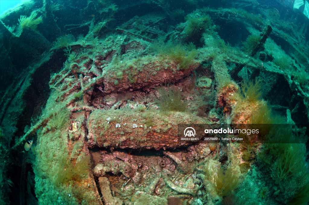 Shipwreck of Royal Navy's HMS Majestic in Gallipoli