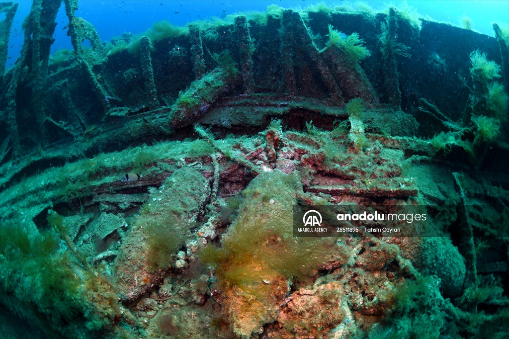 Shipwreck of Royal Navy's HMS Majestic in Gallipoli