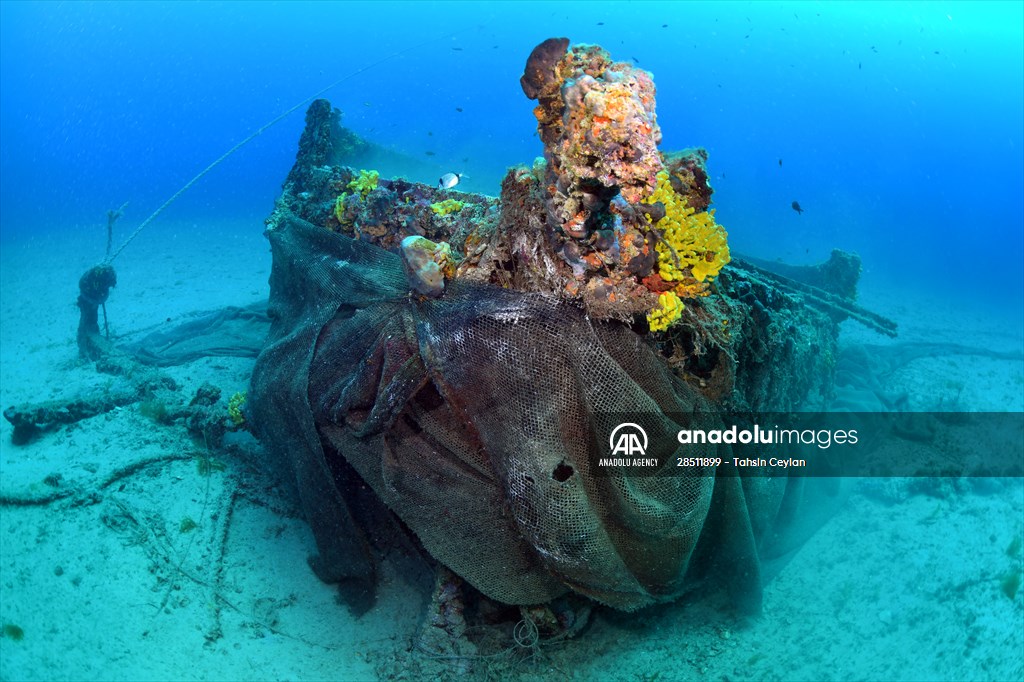 Shipwreck of Royal Navy's HMS Majestic in Gallipoli