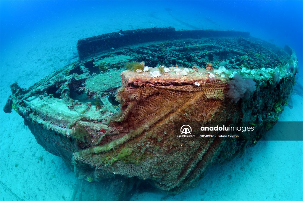 Shipwreck of Royal Navy's HMS Majestic in Gallipoli