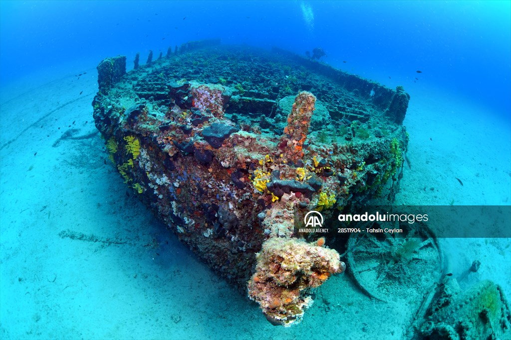 Shipwreck of Royal Navy's HMS Majestic in Gallipoli