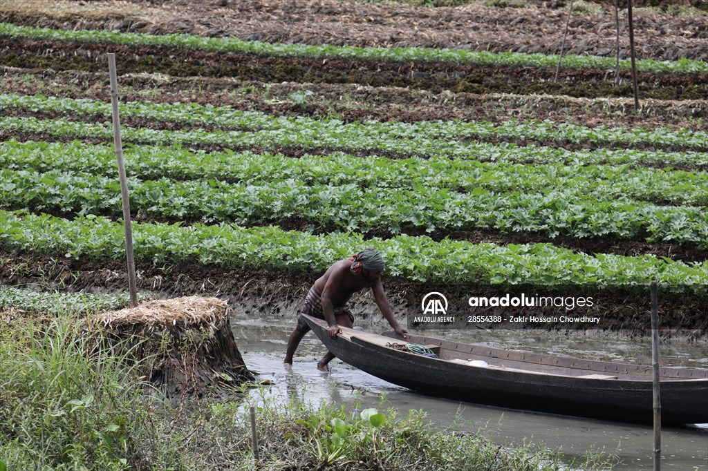 Floating Vegetable Garden: Adapting Climate Change