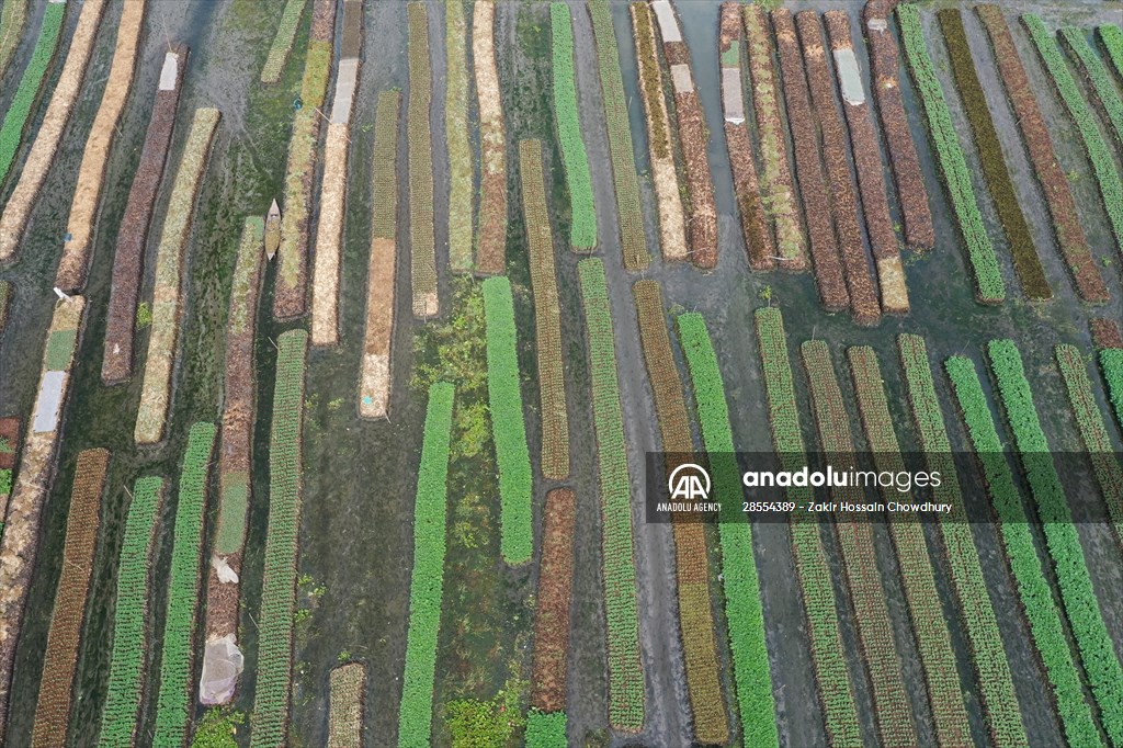 Floating Vegetable Garden: Adapting Climate Change