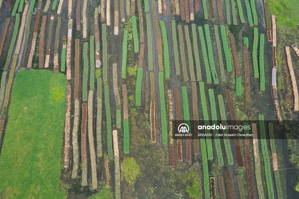 Floating Vegetable Garden: Adapting Climate Change