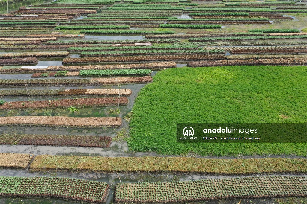 Floating Vegetable Garden: Adapting Climate Change