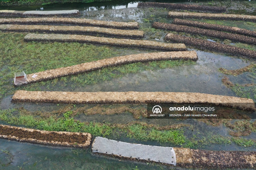 Floating Vegetable Garden: Adapting Climate Change