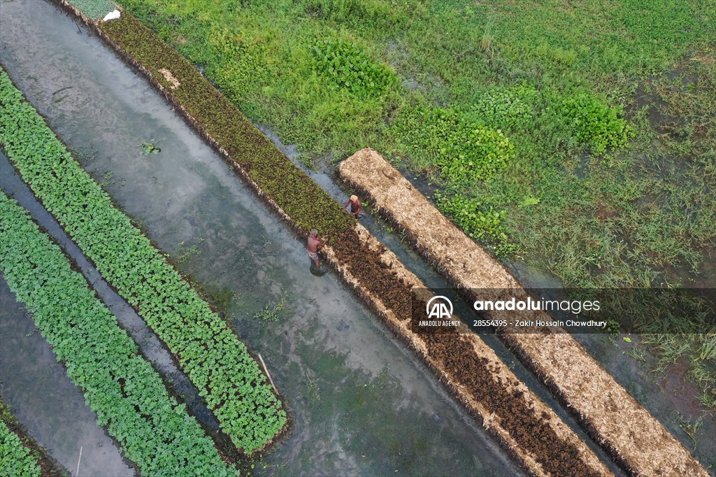 Floating Vegetable Garden: Adapting Climate Change