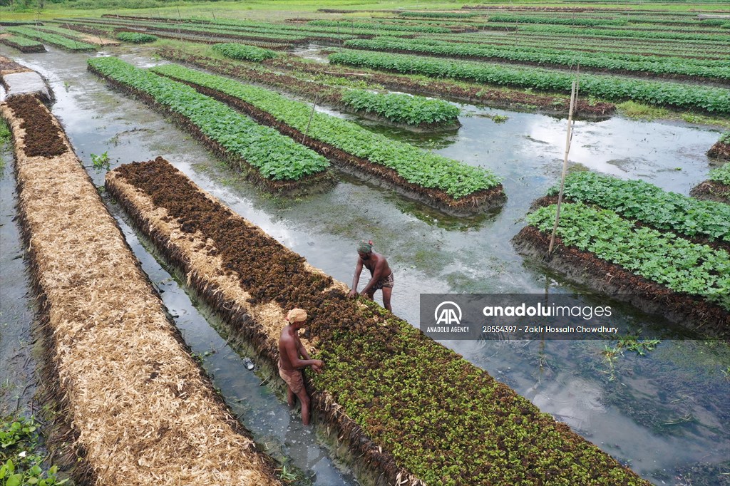 Floating Vegetable Garden: Adapting Climate Change