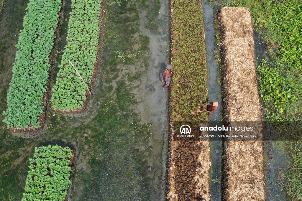 Floating Vegetable Garden: Adapting Climate Change