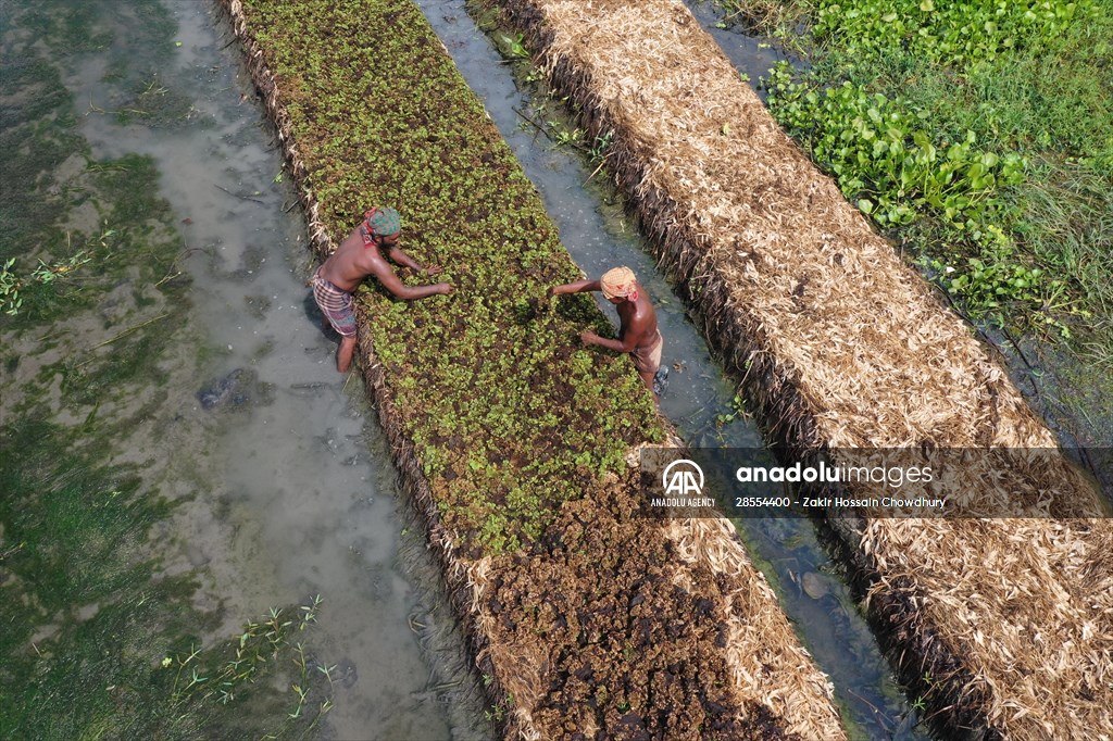 Floating Vegetable Garden: Adapting Climate Change