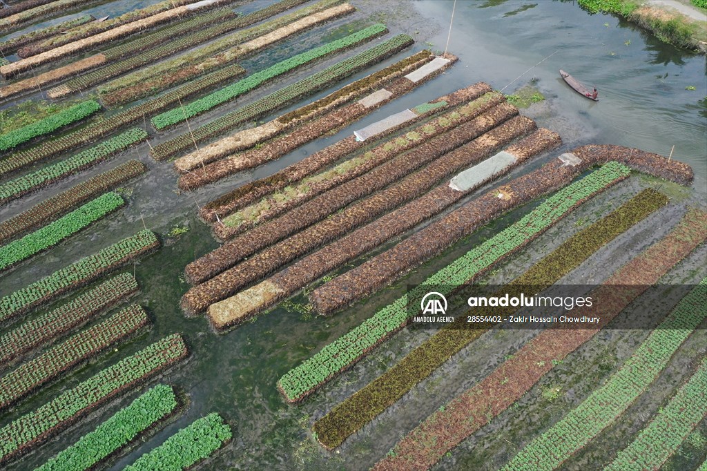 Floating Vegetable Garden: Adapting Climate Change