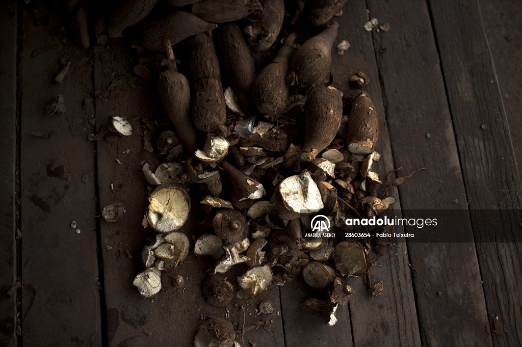 International Day of Indigenous Peoples in Rio de Janeiro Brazil
