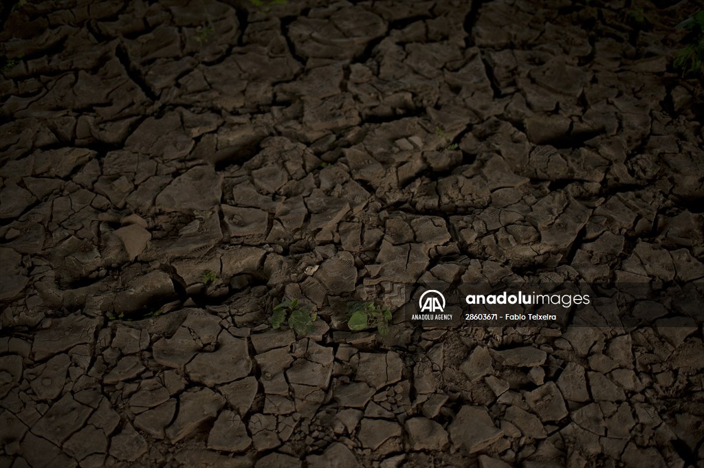 International Day of Indigenous Peoples in Rio de Janeiro Brazil