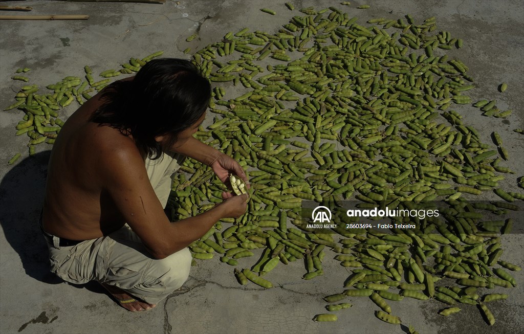 International Day of Indigenous Peoples in Rio de Janeiro Brazil