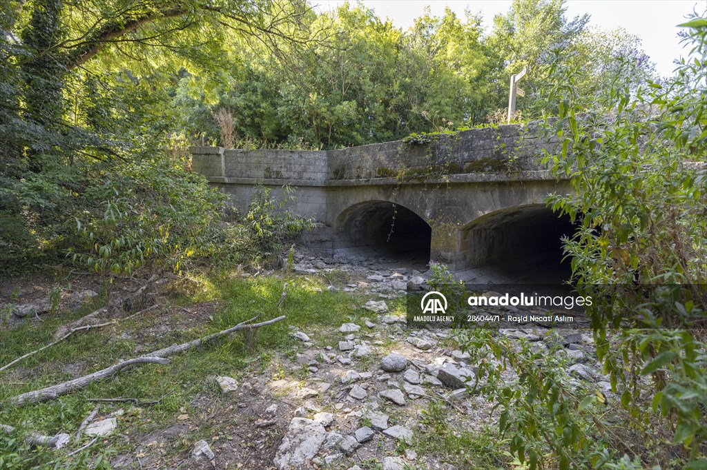 Source of River Thames dries out due to drought